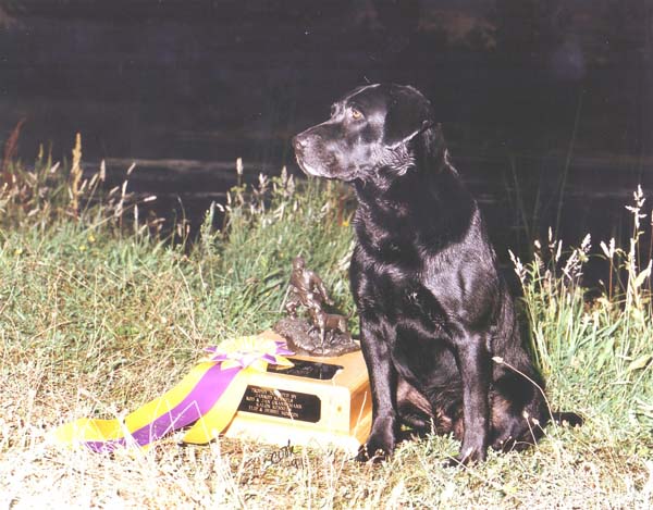 Fred Do It All Challenge